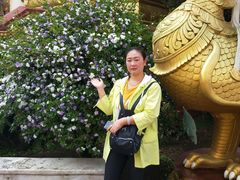 -瑞丽独树成林风景区