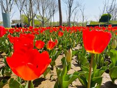 -廊坊文化艺术中心