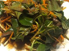 -老号尤兔头(幸福店)