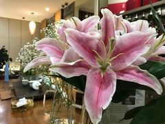 -小茶闲舍·观景商务茶馆(广州塔店)
