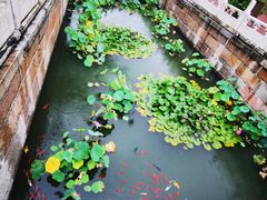 -北京市劳动人民文化宫(太庙)