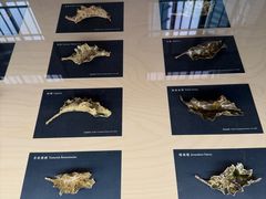 -大馆(前中区警署建築群)