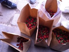 057-意大利农场度假村