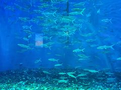 -成都浩海立方海洋公园