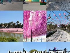 -苏州太湖西山岛开心农场