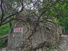 -阳台山自然风景区