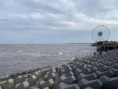 -奉贤海滩