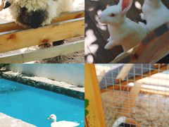 -HERRE·FARM 赫尔露营农场·团建聚会包场