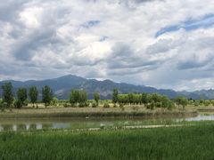 -野鸭湖国家湿地公园