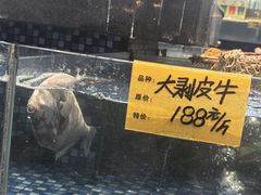 -大门水乡·顺德菜