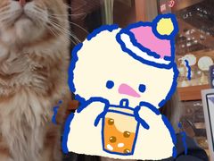 -蓝鲸·缅因猫舍