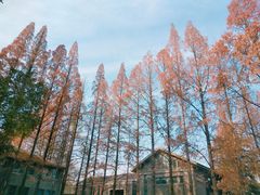 -南京晨光1865创意产业园