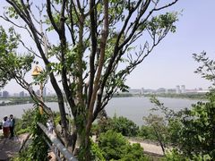-九华山公园