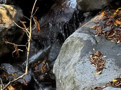 -藏龙百瀑风景区