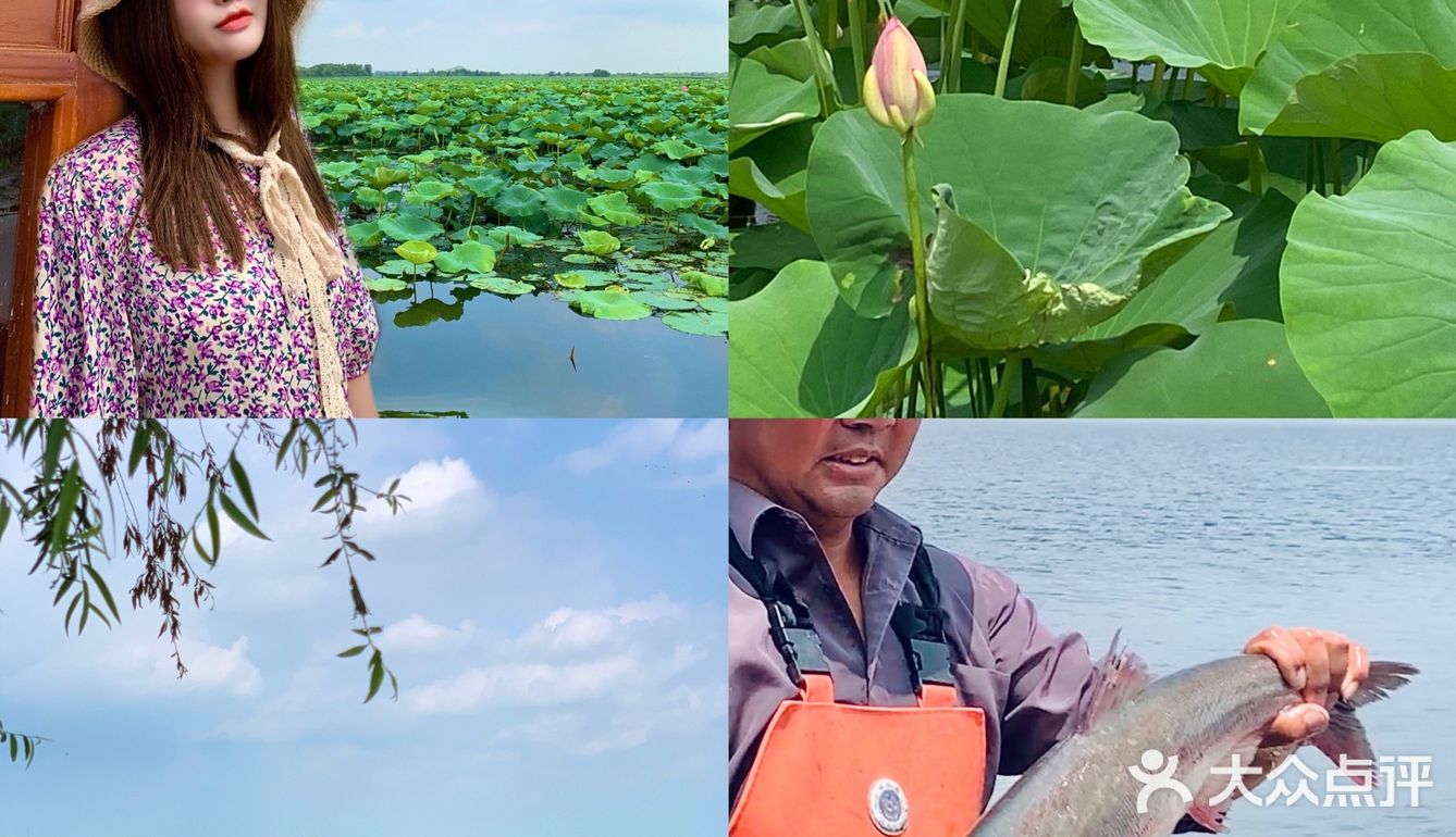  
沈阳周边游🌟旅行推荐🌟夏日避暑好去处