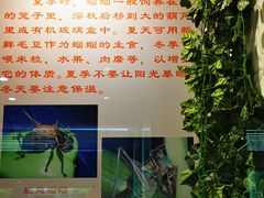 -上海昆虫博物馆