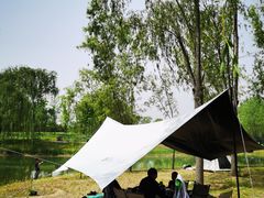 -东郊湿地公园