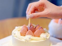 -壹点壹客·生日蛋糕(南山店)