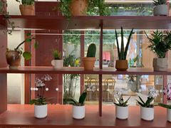 -二酉书店TOYOU BOOKS