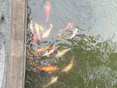 -宜兴龙背山森林公园