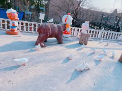 -J Create城市露营咖啡·简餐·宠物(上海动物园店)