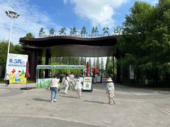 -黄海国家森林公园