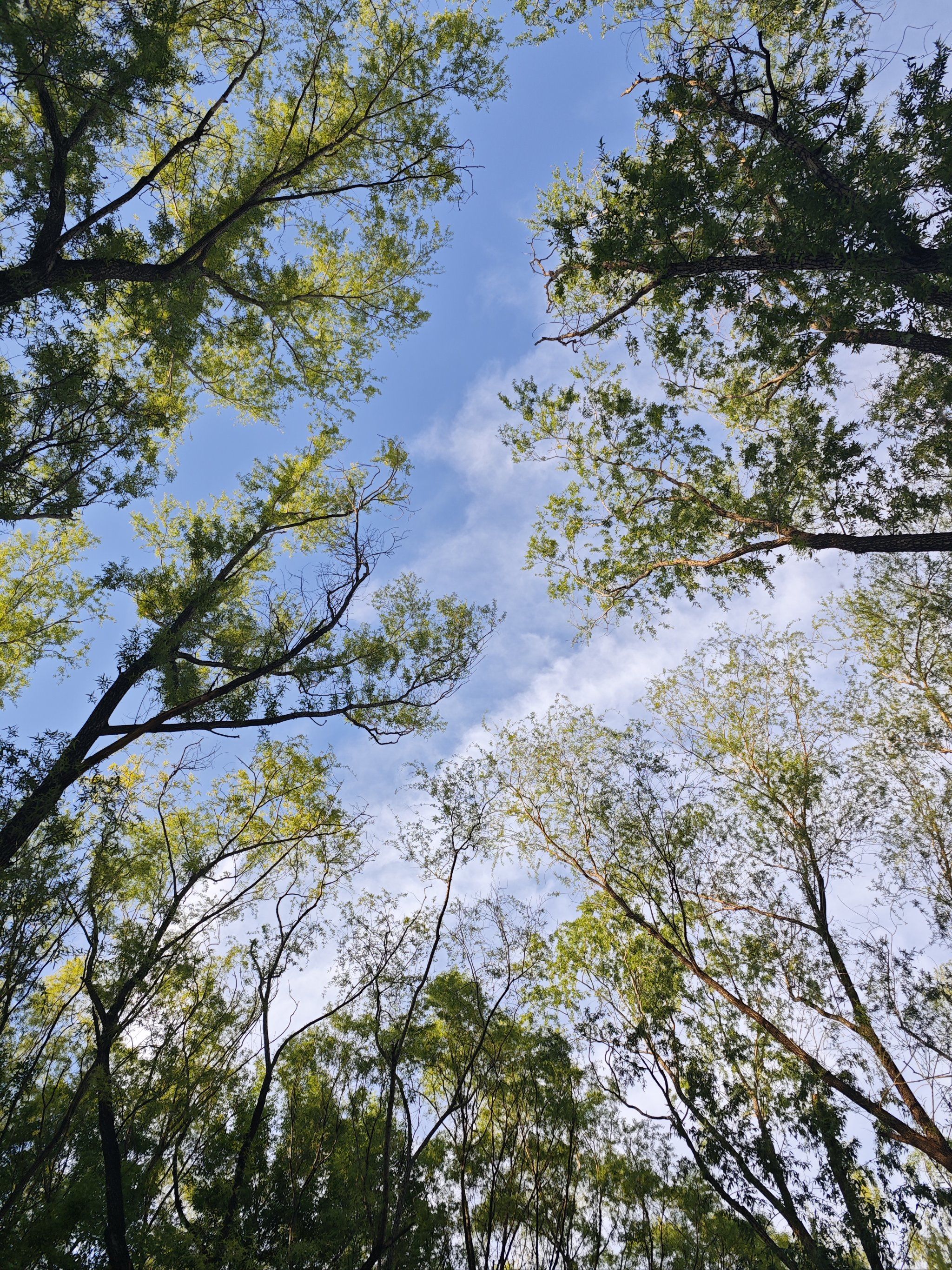 晴朗的天空,像年少时的梦