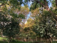 -徐家汇源景区-衡山公园