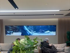 -北京盈之宝宝马&MINI4S店(望京店)