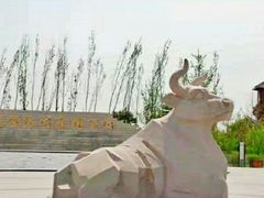 -永定河休闲森林公园