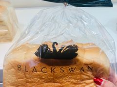 -BLACKSWAN黑天鹅(环球店)