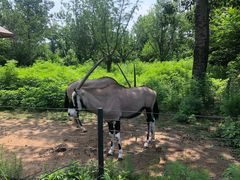 -大连森林动物园