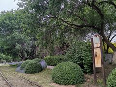 -永定河休闲森林公园