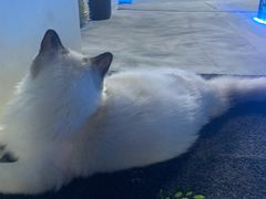 -零纪元VR体验馆·桌游(黄浦店)