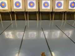 -蓝天射箭馆·专业射箭运动(诚丰广场店)