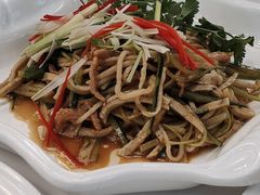 肉丝鱼崧捞鱼面-顺德人家食府(黄金广场店)