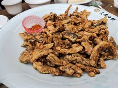 -老磨油饼(高陵店)