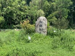 -杭州野生动物世界