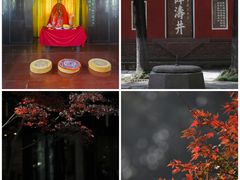 -望江楼公园