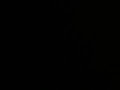 -鱼宴馆·家宴老字号淳鱼馆(千岛湖总店)