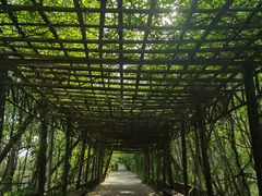 -杨柳青庄园