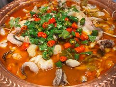 -沪小二炭火蛙锅(淮海中路美食不夜城店)