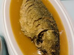 红烧黄河大鲤鱼-豫丰汇河南名菜楼(武记餐饮)