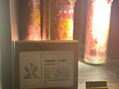 -雪灵魔法世界SHELLY’S TAROT(大良桂畔里店)