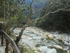 -太鲁阁公园