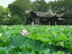 -高子水居