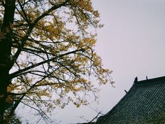 -金堂县云顶石城风景区