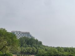 -丁香湖公园