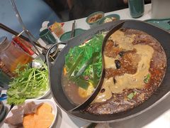 -新辣道鱼火锅(龙旗广场店)