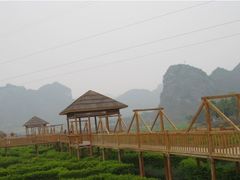 -南宁花花大世界景区